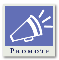 fort wayne web deisgn   promoteSingle how we do it   process